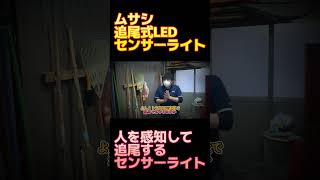 人を感知して追尾するセンサーライト　SANSHOUDOチャンネル　#shorts