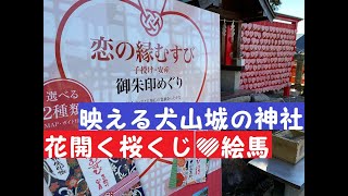 参拝ライダーが行く！映える犬山城の神社　桜くじ