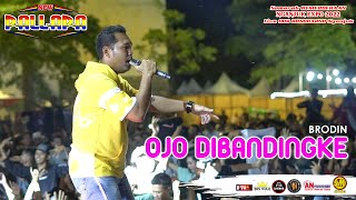 OJO DIBANDINGKE | BRODIN | NEW PALLAPA | AN-PROMOSINDO LIVE GOR NGANJUK