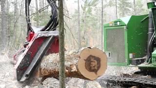 Hardwood Harvesting