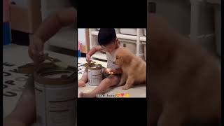 Cute bonding 😍 #shortvideo #funny #shorts