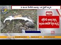 ఛత్తీస్‌గఢ్‌లో మందుపాతర పేలుడు 9 మంది మృతి nine dead in chhattisgarh naxal attack