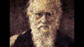 Genetic algorithm, Darwin (first run)