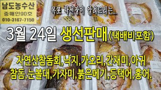 3월 24일(판매 생선), 자연산 참돔회, 낙지, 가자미, 참돔, 눈볼대, 붉은메기, 아귀, 가오리, 간재미, 등택어, 국내산홍어(목포 남도농수산 탁선장 010 3167 7150)