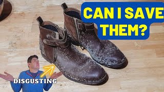 How to Remove MOLD From Leather Shoes