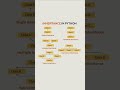 Inheritance in Python Explained 🐍 #python #programming #learnpython #pythoncode #viral #webdevelop