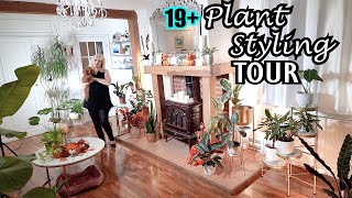 19+ PLANT STYLING TOUR 💛 Cosy Indoor Plants Decor Ideas 🌴 Style Tips For RARE & COMMON Houseplants 🌿