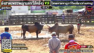 ลังสาดเพชรพญาเอก (ไอ้คลั่ง) VS โหนดงามหาญราวีร้อยลีลา (ท่านหาญ)