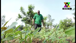 A la découverte de la Ferme agricole Intégrée DOSSOU-YOVO sis à Takon, dans la commune de Sakété