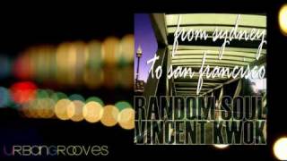 Random Soul And Vincent Kwok - Into your mind (Random Soul Mix)