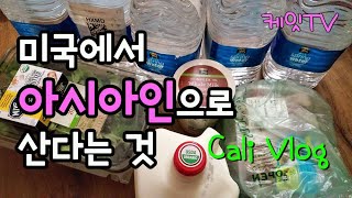 Vlog 미국주부일상 • 미국사재기 • 에어프라이어 추천 • GoWISE USA air fryer • 육아맘 일상 • 미국 코로나 현재상황 • 영어로 스타벅스에서 커피 시키기 ☕