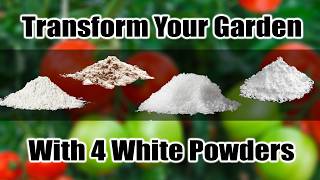 4 White Powders to Transform Your Tomatoes & Peppers