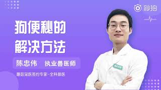 狗便秘的解決方法