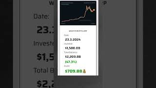 What if you invested DAILY $15 in Bonk for the past 12 Months?