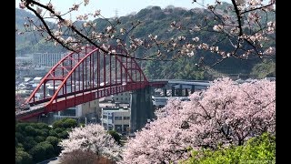 音戸の瀬戸公園、桜と瀬戸の風景が美しい呉のお花見スポット