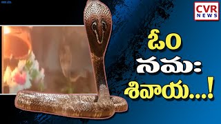 నిర్మల్ జిల్లా గొడిసెర్యాల లో అద్భుతం..! | wonder at godiseryalaa nirmal district | CVR News