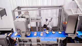 Grote Robotic Sandwich Assembly Line