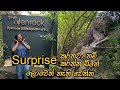 Birthday Surprise | The Glenrock Wellness Nature Resort |  Belihuloya