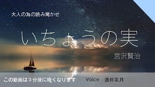 【おやすみ前の大人の為の読み聞かせ】『いちょうの実』睡眠用朗読BGM