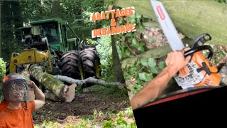 Abattage d’arbres sthil ms 500i qui taille 😮et débardage avec une machine sur puisante 🌳