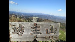 【登山】北海道むかわ町穂別の坊主山(791ｍ)