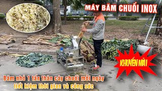 Máy Băm Chuối Inox Băm 1 Tấn Cây Chuối Mỗi Ngày, Ứng Dụng Trong Chăn Nuôi Giá Rẻ