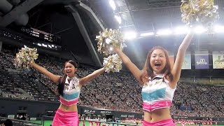 YMCAダンス(ファイターズガール・渡邊姫琳さん\u0026池田真実さん中心バージョン）