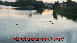 એક જોવાલાયક સ્થળ - \