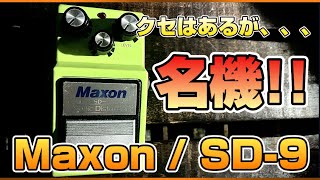 【定番には理由がある】MAXON SD-9の使い方の最適解！！キモはトーンの使い方！！アンプとの関係性で劇的にサウンドが変わる！！