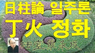 [nss-사주명리학강의-753] 일주론-정화일주 丁火日柱