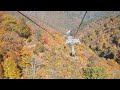 谷川岳ロープウェイからの紅葉