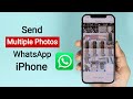 How to Send Multiple Photos on WhatsApp in iPhone