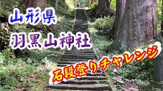 山形県 羽黒山神社　石段登りチャレンジ