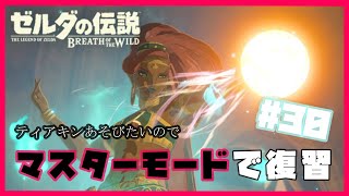 【ゼルダの伝説BOTW】マスターモードでティアキンに備える枠〔#30〕