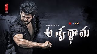 Naga Shaurya Aswathama Official Teaser || Mehreen || 2019 Telugu Trailers ||  Public Poster