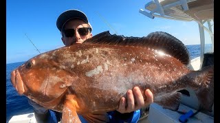 FOUR HOURS of the World's BEST Red Grouper Fishing *Catch, Clean and Cooks!!*