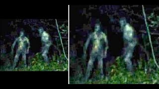 THIS RECORDING CAPTURED ONE OF THE SCARIEST FOOTAGE'S FROM THE APPALACHIAN MOUNTAINS!!