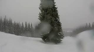 Copper Mountain Copperfield Raw video Mar 2019