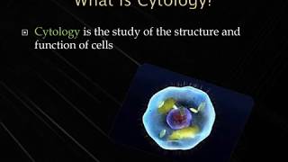 Cytology