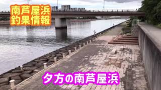 2021年7月16日　夕方の南芦屋浜　サビキやジグサビキでサバ好調！！