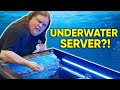 This server lives underwater! - Hypertec Immersion Cooling