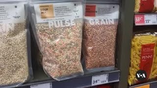 Saving sorghum: The push to reclaim Southern Africa’s native grain