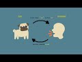AI Reinforcement Learning in 3 Minutes [Machine Learning, Q Learning]