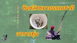 #ชิงหลิว #อาการทุ่น 🐟🐟ชิงหลิวหมายธรรมชาติ💯💯EP 49 อาการทุ่น😁😁ทำดีที่สุดแล้ว//หนักหนาสาหัส