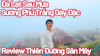 Da Lat is shrouded in fog; a review of this cloud-hunting paradise.