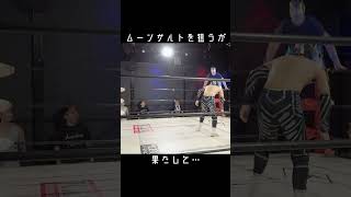 【プロレス技】決まるか!? ムーンサルトプレス