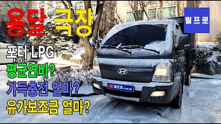 [퀵,화물,용달] 포터lpg 평균연비?,가득주유 얼마? 유가보조금 얼마?