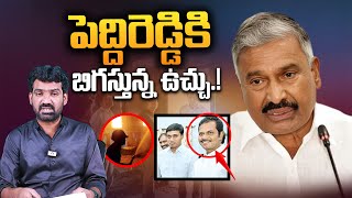 పెద్దిరెడ్డికి బిగుస్తున్న ఉచ్చు| Madanapalle Sub Collector Office Incident| Peddireddy Mithun Reddy