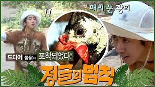 [#정글의법칙] 저기 있다!👀 매의 눈으로 뿔닭을 발견한 광희..! ep.4