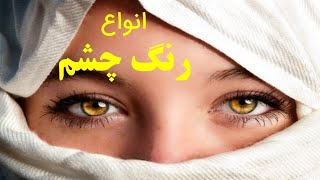 چند نوع رنگ چشم در انسان داریم به نظرتون؟ فراوانی کدوم، بیشتره؟